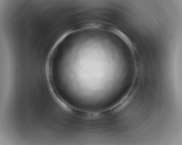 X0000113760859200910071130