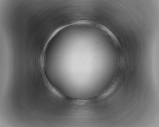 X0000113760860200910071130
