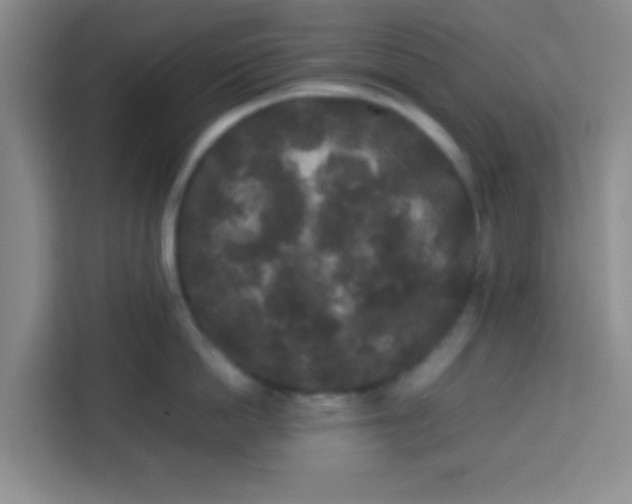 X0000113760862200910071130