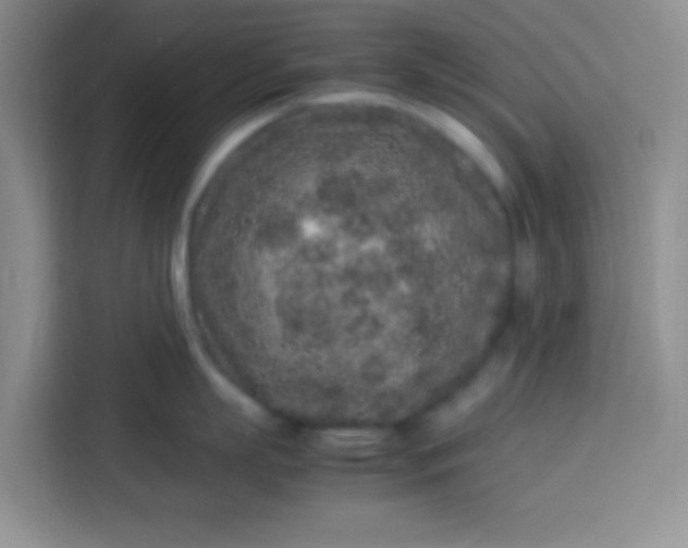X0000113760863200910071130