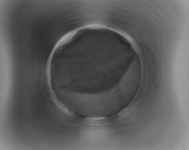X0000113760864200910071130