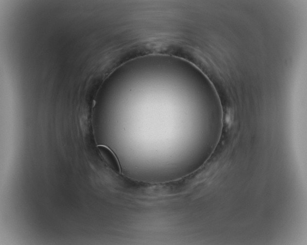 X0000113760867200910071129