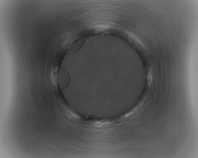 X0000113760868200910071129