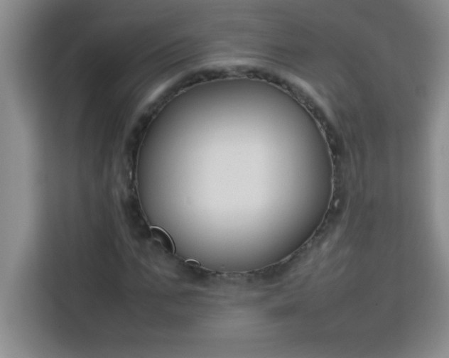 X0000113760871200910071129