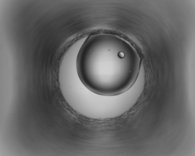X0000113760872200910071129