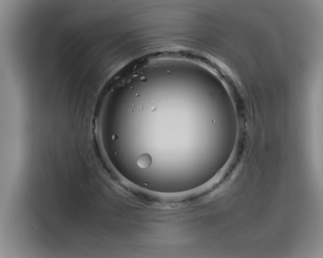 X0000113760873200910071129