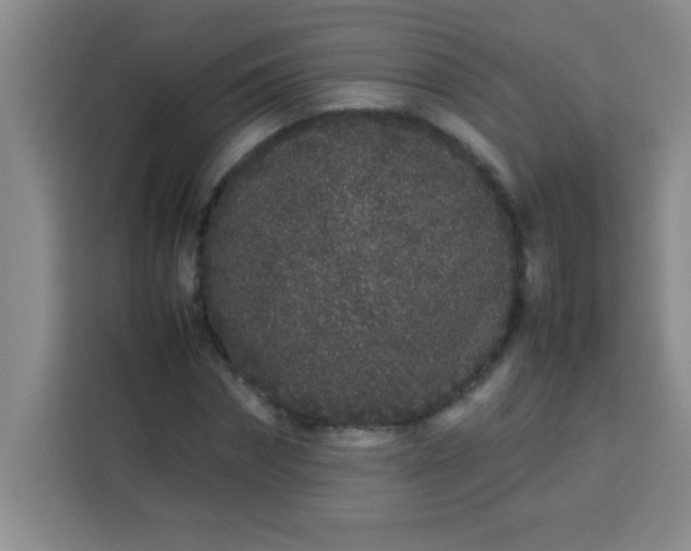 X0000113760874200910071129