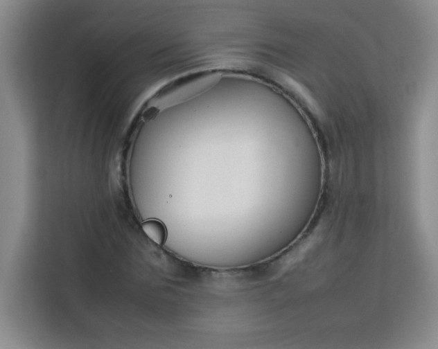 X0000113760875200910071129