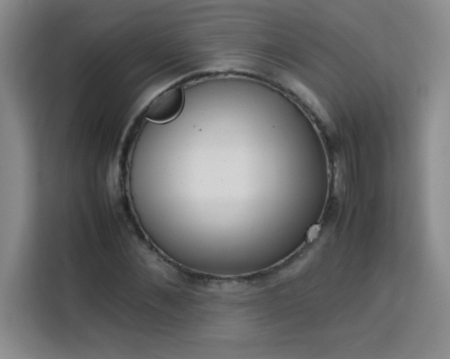 X0000113760876200910071129