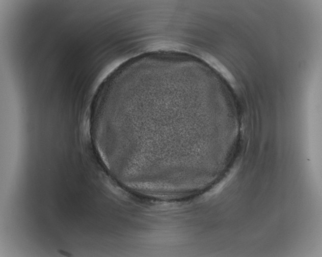 X0000113760877200910071129