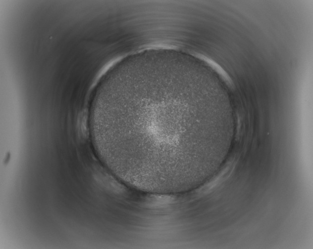 X0000113760878200910071129