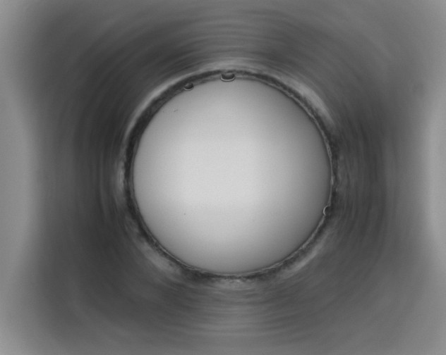 X0000113760880200910071129