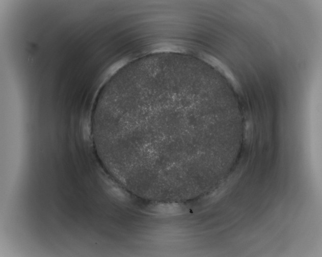 X0000113760882200910071129