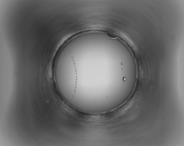 X0000113760883200910071129