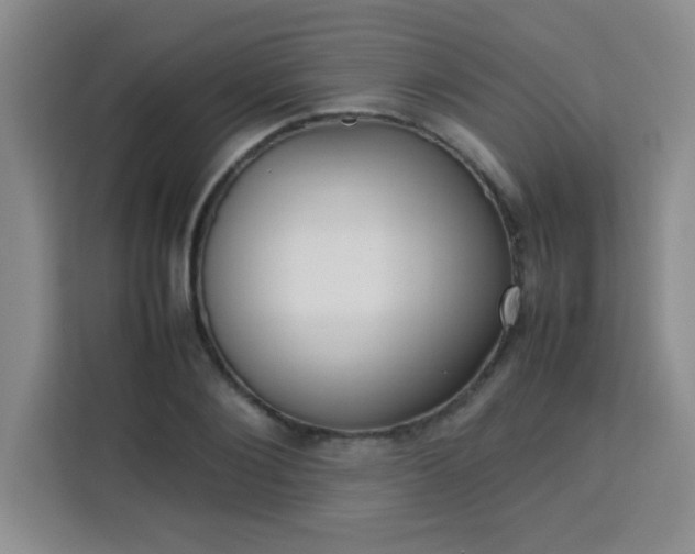 X0000113760884200910071129