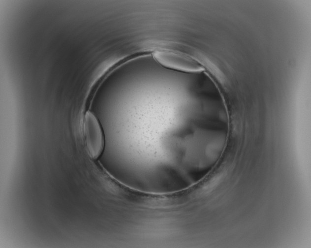 X0000113760885200910071129