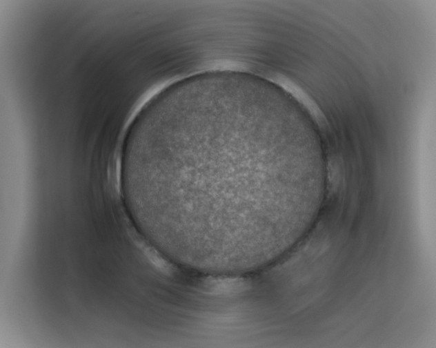 X0000113760886200910071129