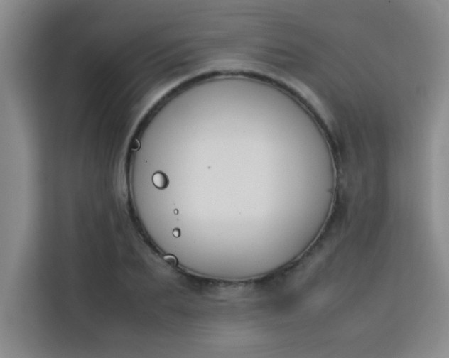 X0000113760887200910071129