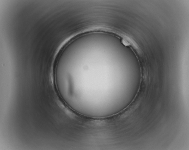 X0000113760888200910071129