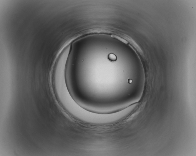 X0000113760893200910071129