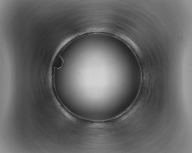 X0000113760894200910071129
