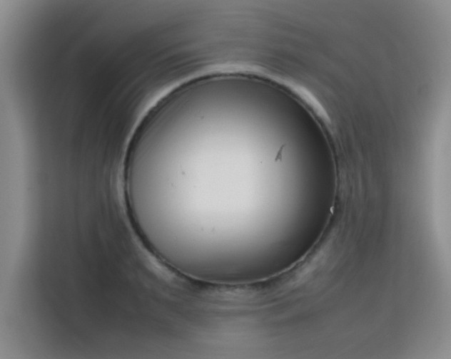 X0000113760895200910071129