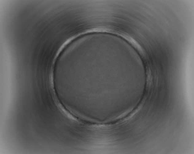 X0000113760896200910071129