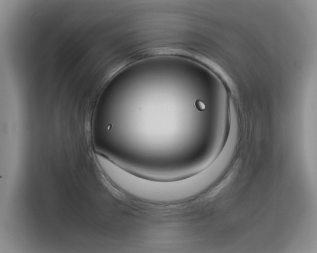 X0000113760897200910071129
