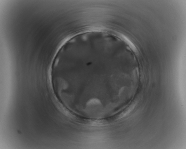 X0000113760899200910071129