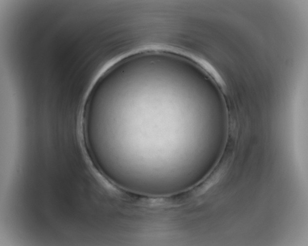 X0000113760903200910071129