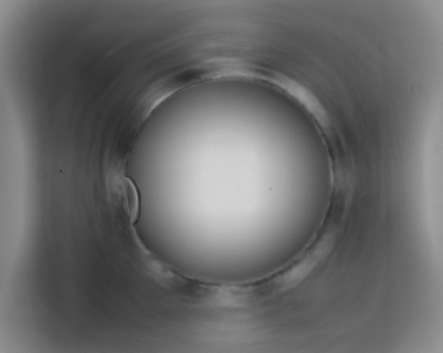 X0000113760905200910071129