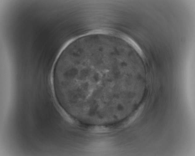 X0000113760907200910071129