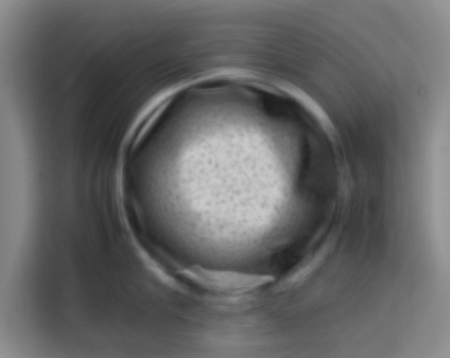 X0000113760910200910071129