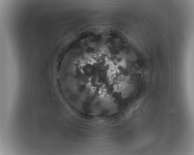 X0000113760913200910071128