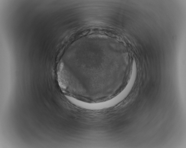 X0000113760916200910071128