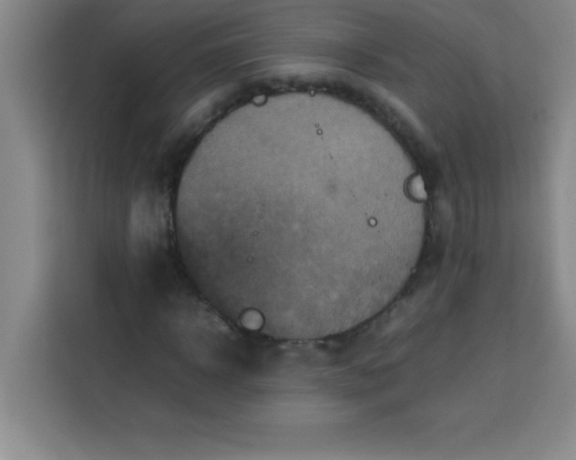 X0000113760918200910071128