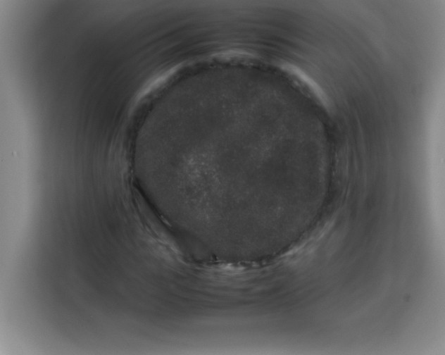 X0000113760919200910071128