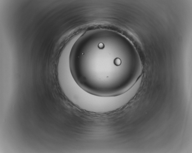 X0000113760920200910071128
