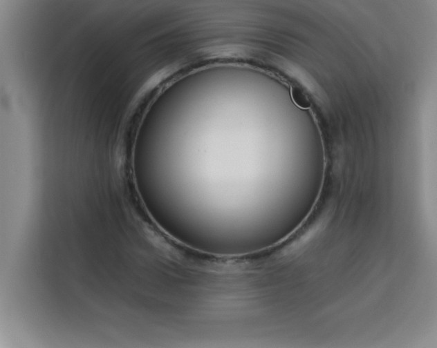 X0000113760922200910071128