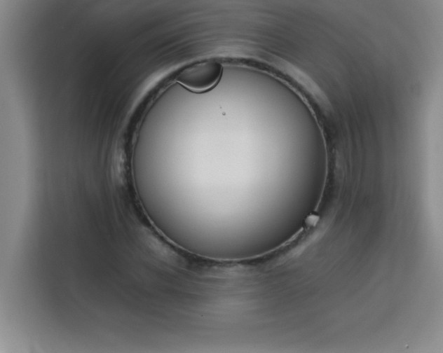 X0000113760926200910071128