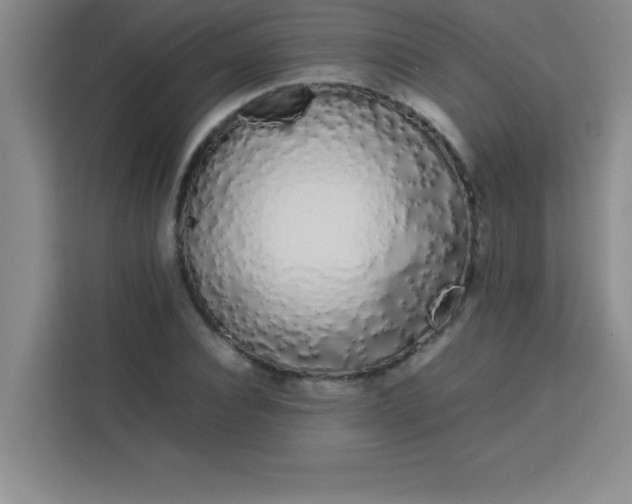 X0000113760928200910071128
