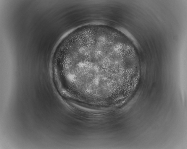 X0000113760935200910071129