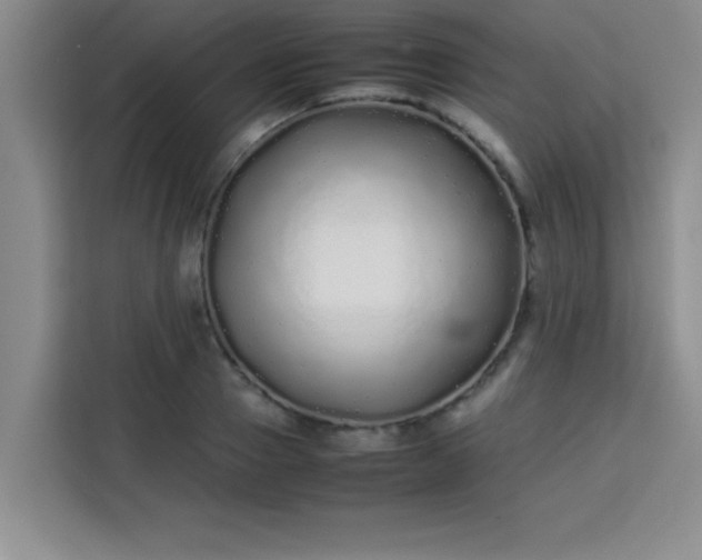 X0000113760937200910071129