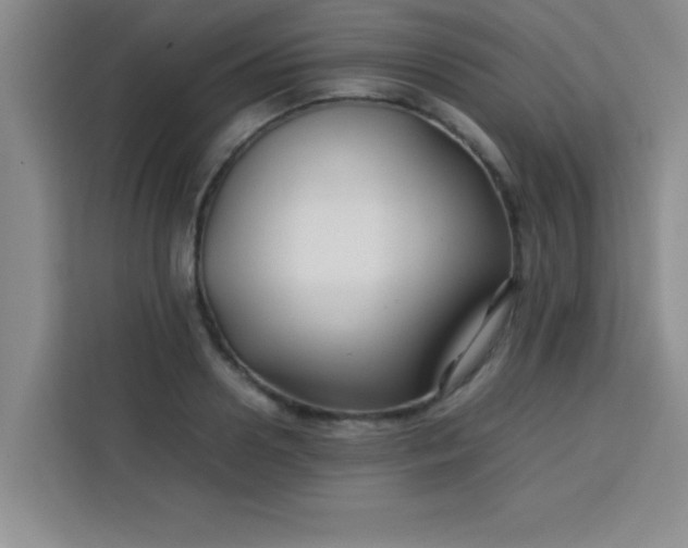 X0000113760938200910071129