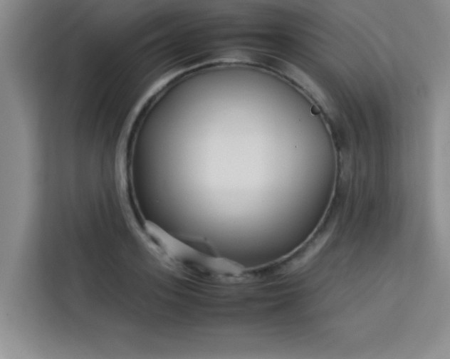 X0000113760939200910071129