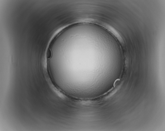 X0000113760940200910071129