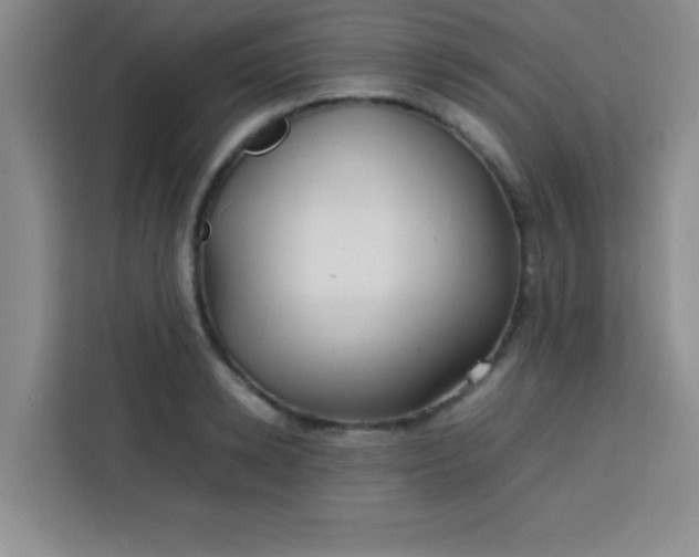 X0000113760942200910071129