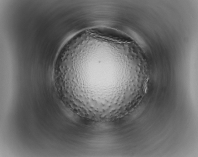 X0000113760948200910071129