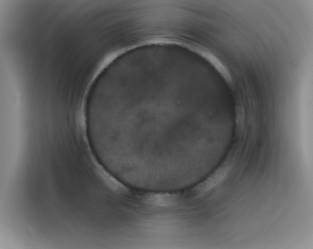 X0000113760950200910071129