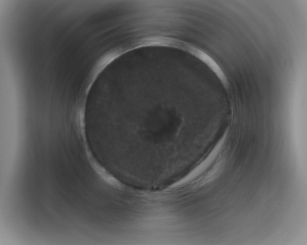 X0000113760954200910071129